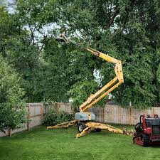 Best Hedge Trimming  in Irwindale, CA